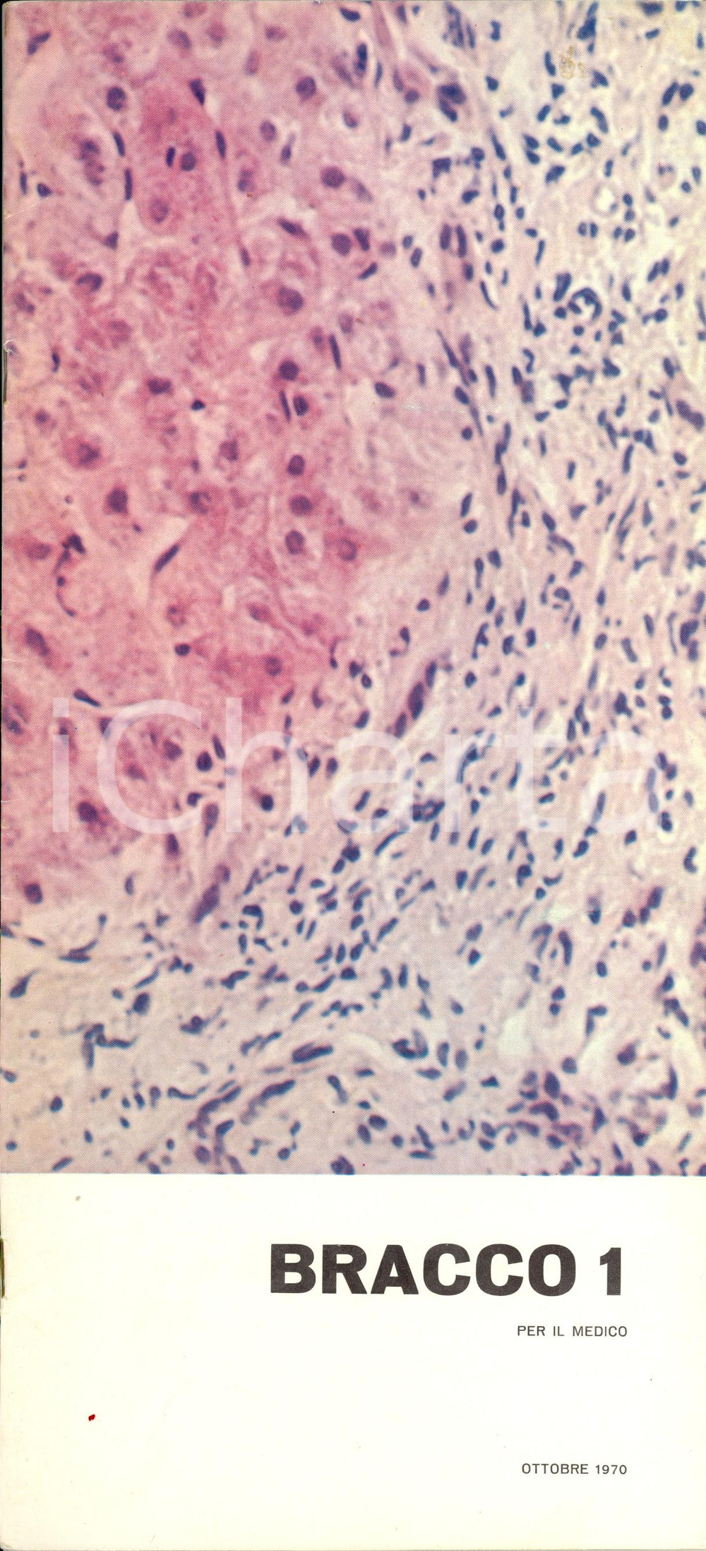 Giornale, rivista storica 1970 MILANO Periodico BRACCO 1 Epatopatie croniche PubblicitÃ  NUTRIZYM Rivista 1