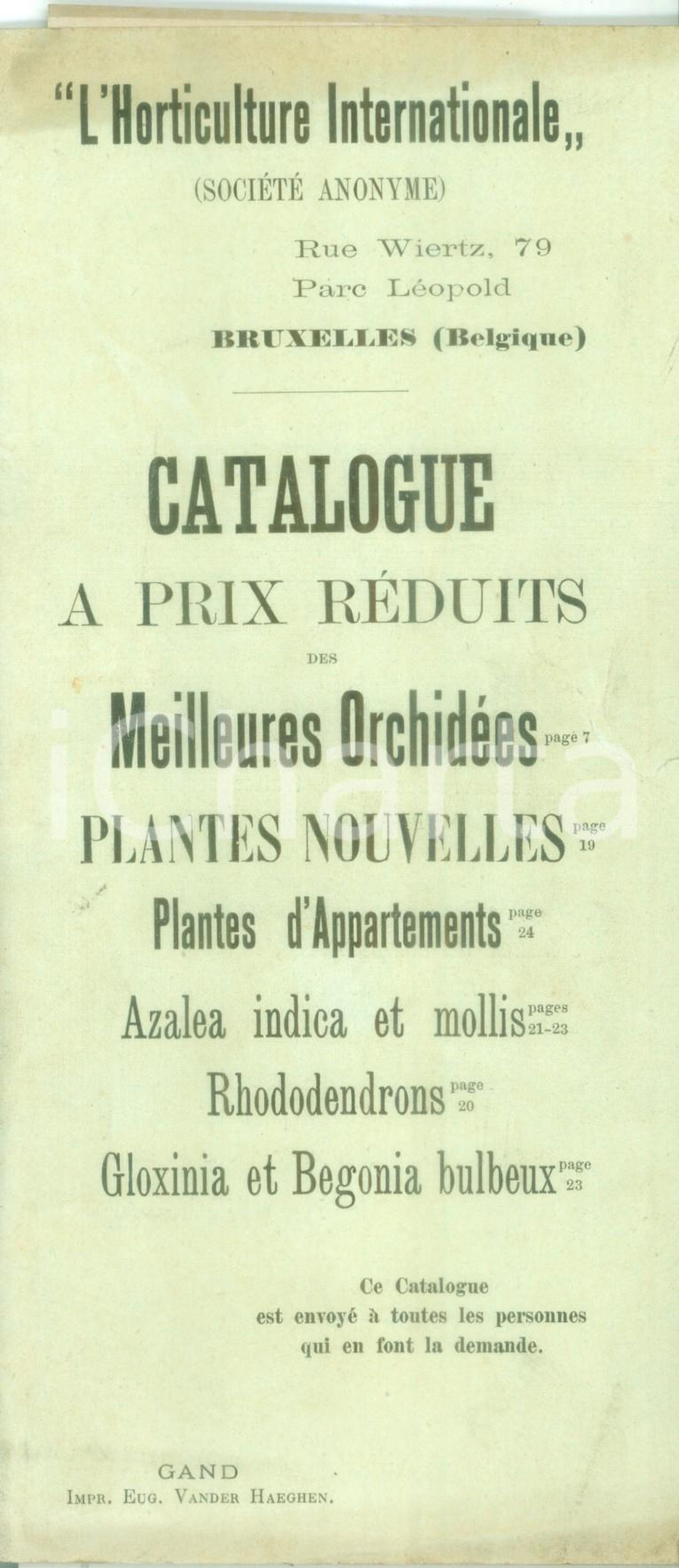 Giornale, rivista storica 1890 ca BRUXELLES L Horticolture Internationale Catalogue plantes nouvelles 1