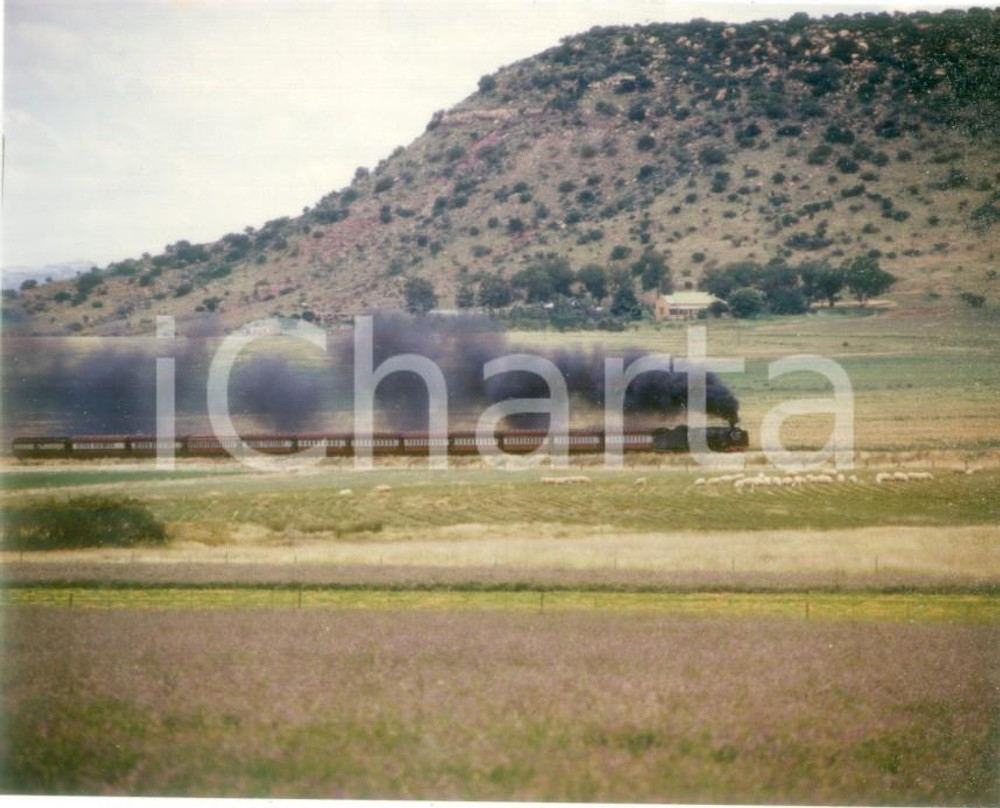 Fotografia d epoca originale 1975 ca SOUTH AFRICAN RAILWAYS Treno passeggeri a vapore Fotografia 1