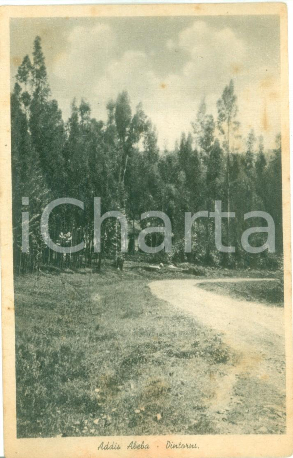 Cartolina originale da collezione 1936 ADDIS ABEBA ETIOPIA AOI Dintorni di una casa coloniale Cartolina FP NV 1