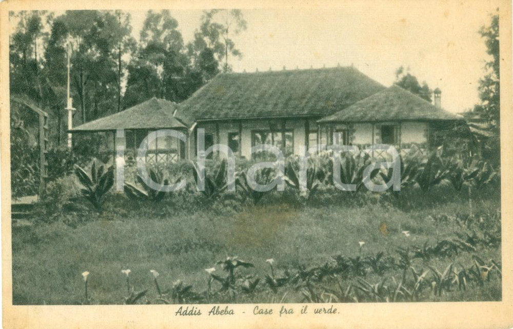 Cartolina originale da collezione 1936 ADDIS ABEBA ETIOPIA AOI Case coloniali fra il verde Cartolina FP NV 1