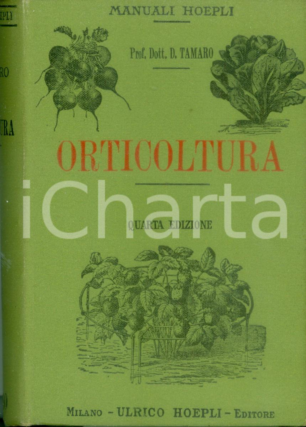 Libro, pubblicazione d epoca 1910 MANUALI HOEPLI Domenico TAMARO Orticoltura Quarta edizione 127 incisioni 1
