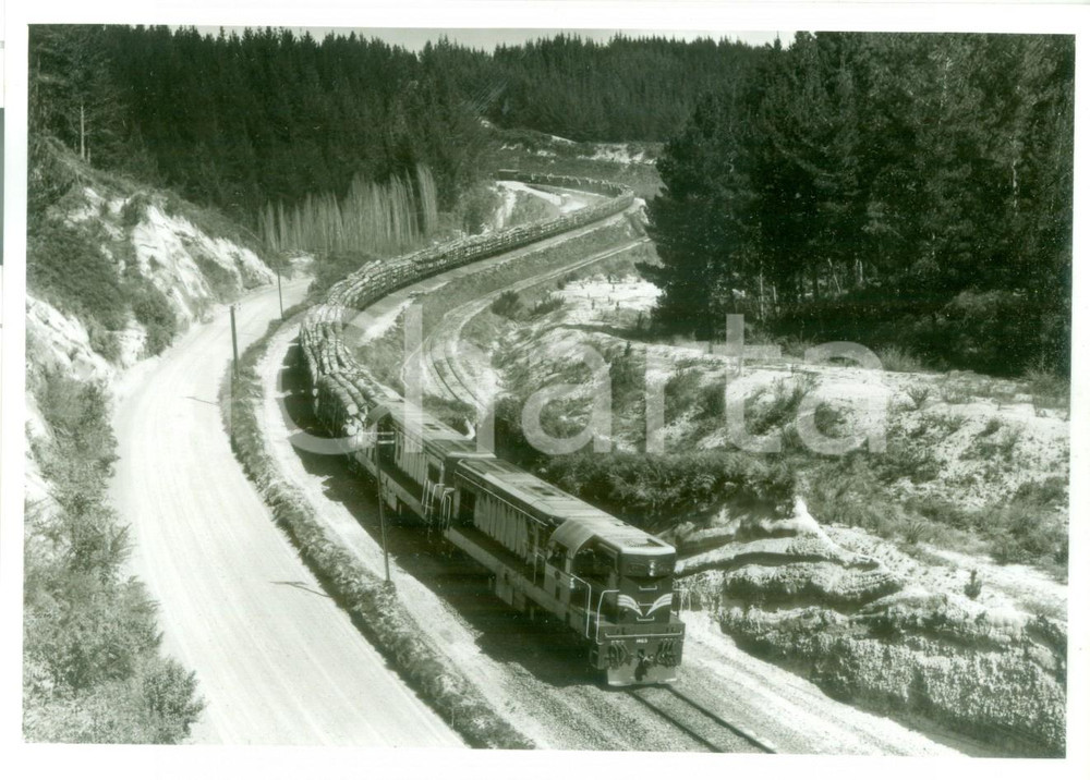 Fotografia d epoca originale 1965 NUOVA ZELANDA New Zealand Railways Treno merci classe DA A1A da MURUPARA 1