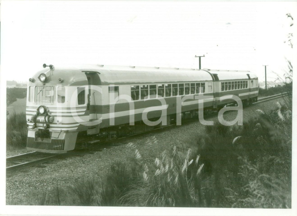 Fotografia d epoca originale 1950 ca NUOVA ZELANDA New Zealand Railways I vagoni del BLUE STREAK per AUCKLAND 1