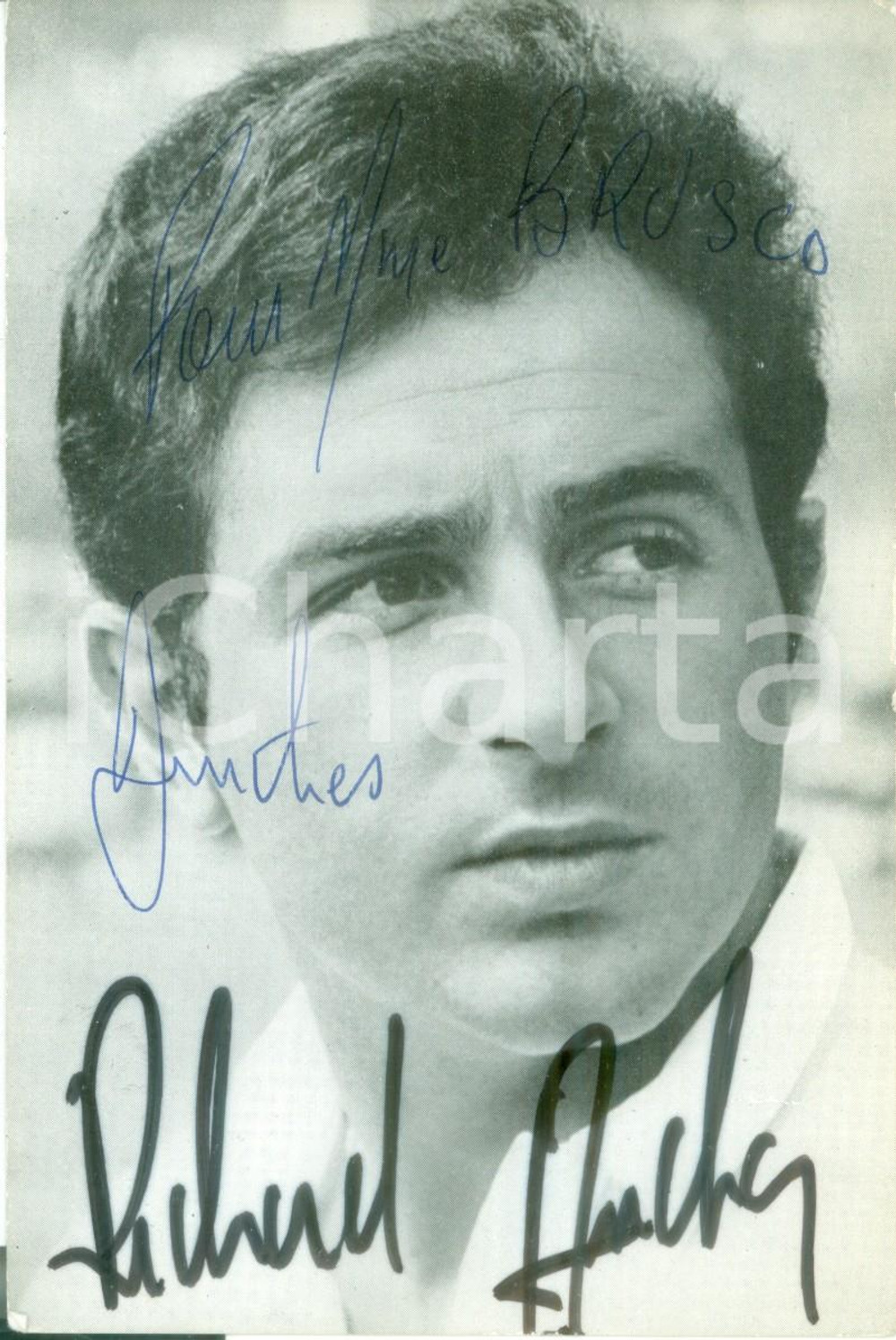 Autografo originale 1964 MUSICA Cantante Richard ANTHONY Fotografia seriale con AUTOGRAFO 1