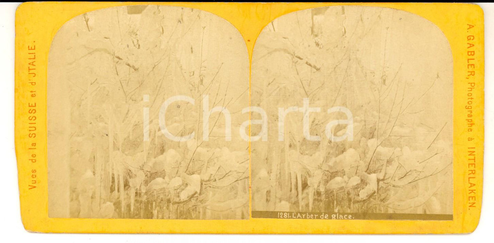 Fotografia d epoca originale 1880 SUISSE Vue d un arbre de glace Photo stÃ©rÃ©oscopique 18x9 cm A. GABLER 1