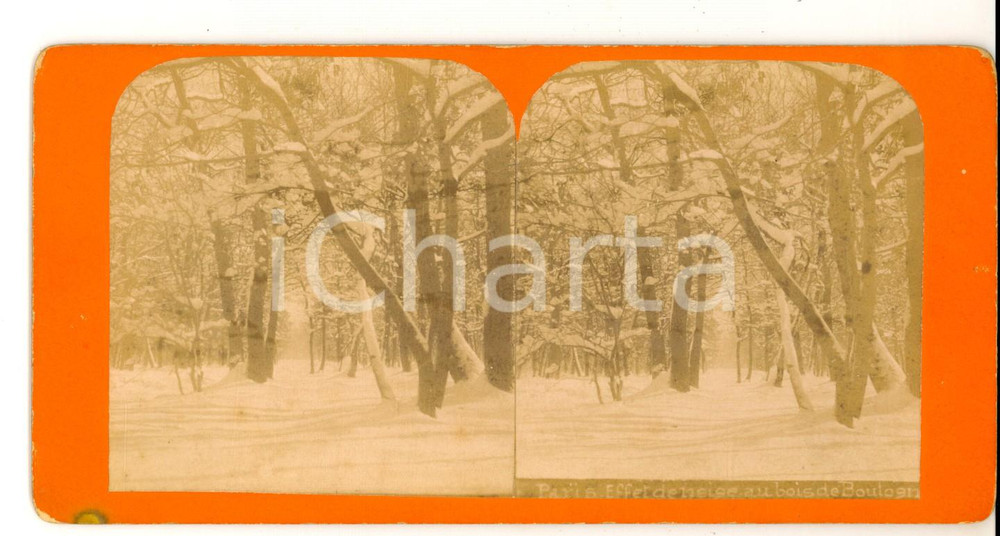 Fotografia d epoca originale 1900 PARIS Bois de Boulogne  Effet de neige Photo stÃ©rÃ©oscopique 18x9 cm 1