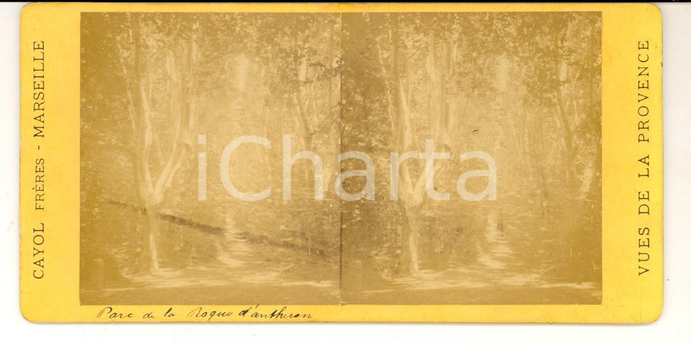 Fotografia d epoca originale 1880 LAROQUED ANTHERON F Vue du parc Photo stÃ©rÃ©oscopique CAYOL 1