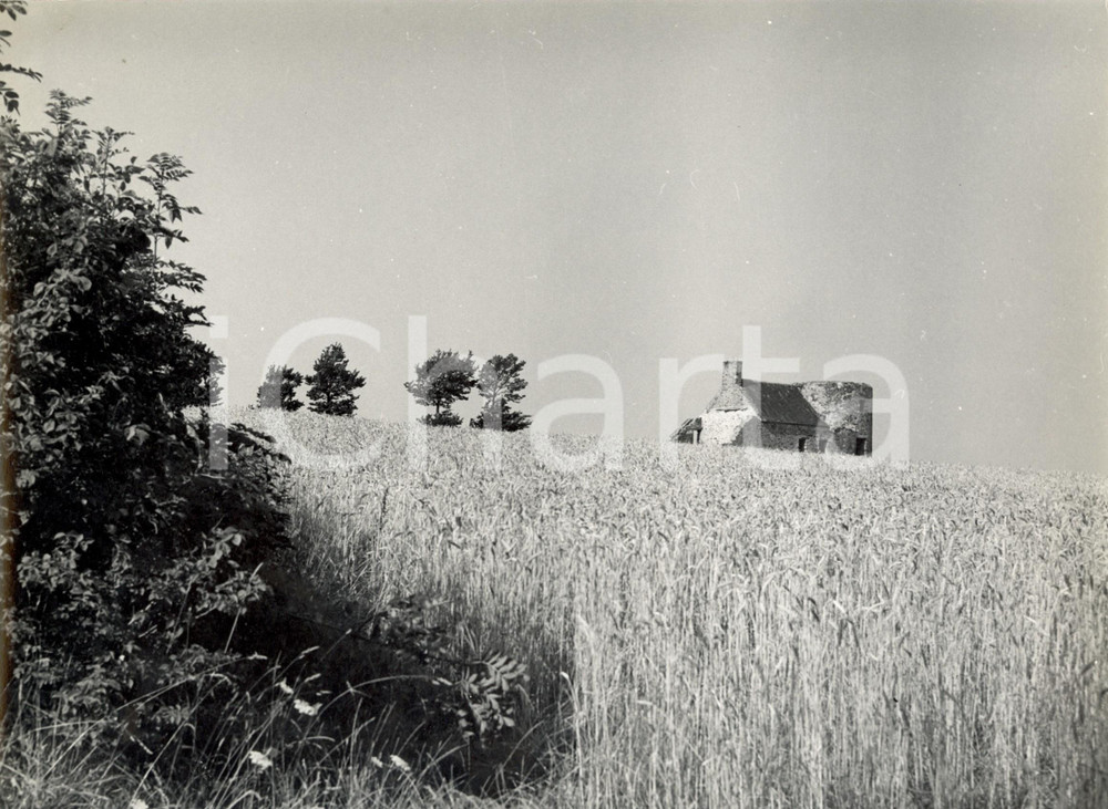 Fotografia d epoca originale 1970 ca FRANCE Campo di grano con casa in rovina Foto ARTISTICA 30x24 cm 1