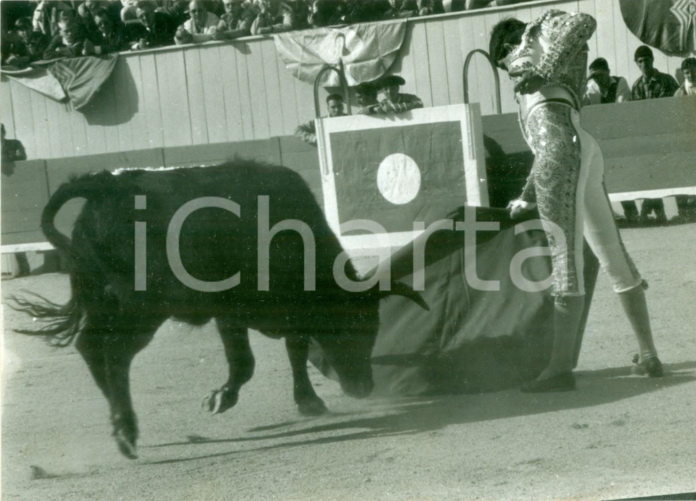 Fotografia d epoca originale 1970 ca ISTRES F CORRIDA Torero durante l assalto del toro Fotografia 1