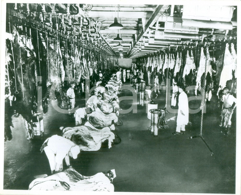 Fotografia d epoca originale 1950 ca CHICAGO USA Macellai al lavoro alla ARMOUR & COMPANY Fotografia 1