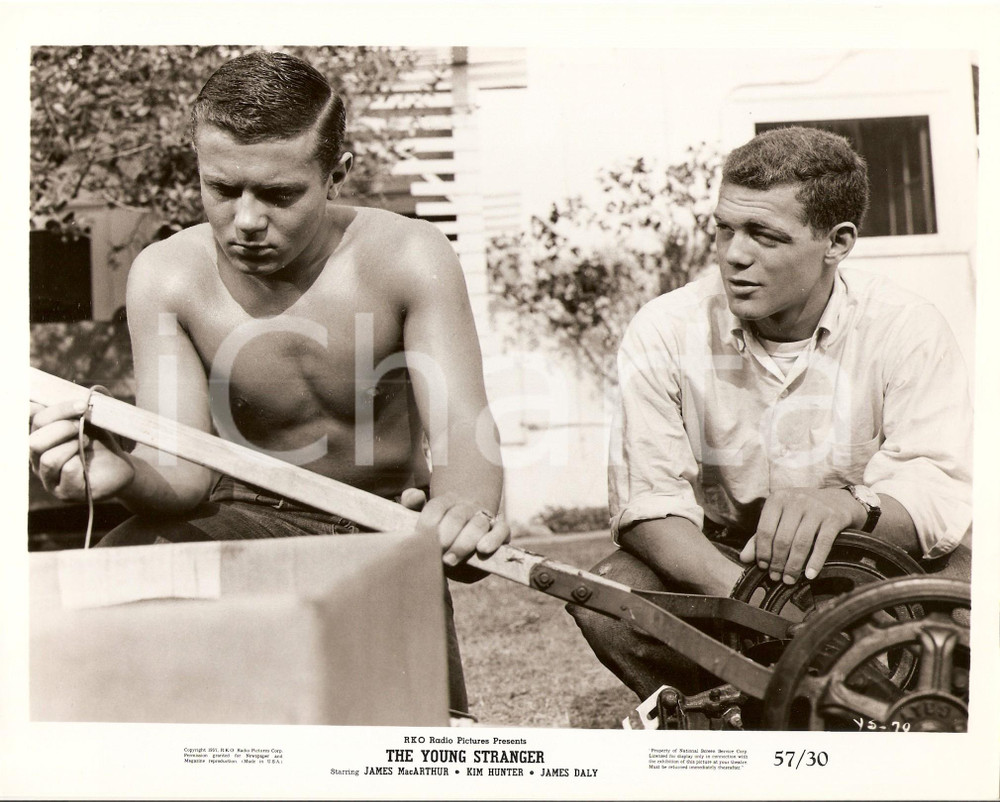 Fotografia d epoca originale 1957 YOUNG STRANGER James MACARTHUR aggiusta tosaerba manuale Foto di scena 1