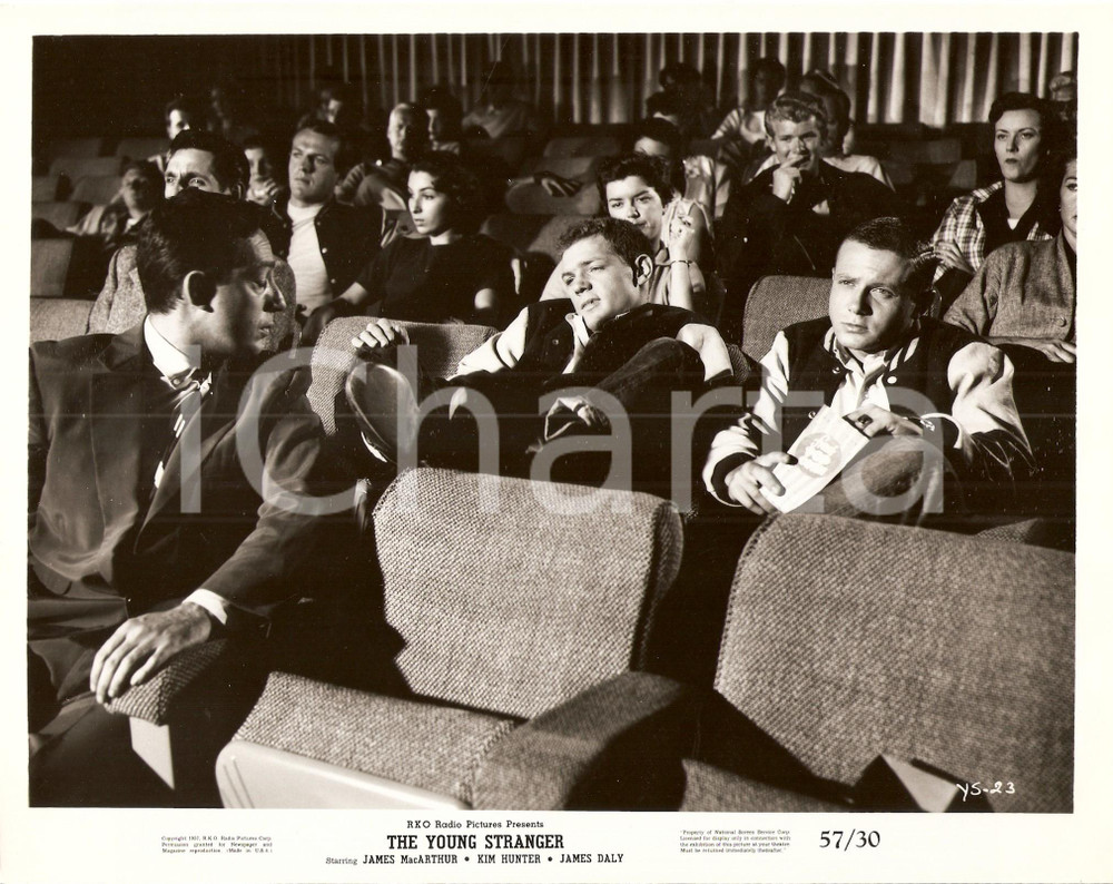 Fotografia d epoca originale 1957 YOUNG STRANGER James MACARTHUR disturba Eddie RYDER al cinema Foto di scena 1