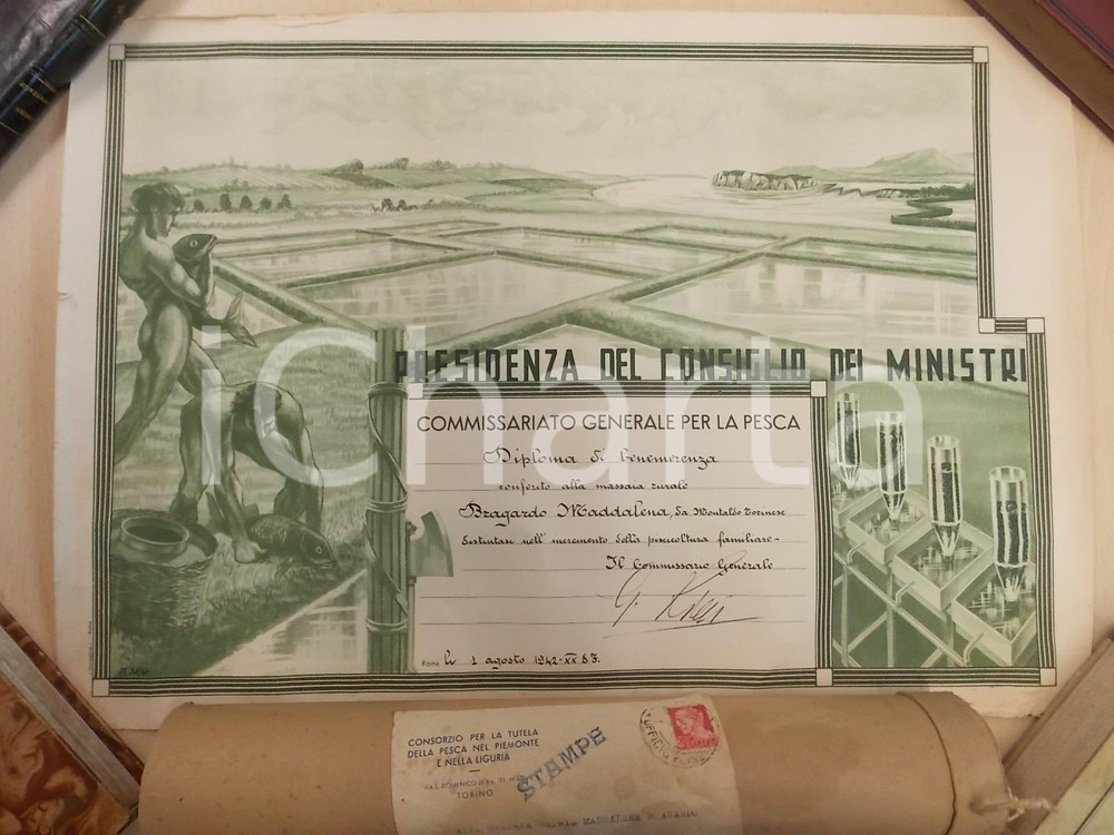 Documento originale, autentico 1942 MONTALDO TORINESE Commissariato pesca Diploma massaia Maddalena BRAGARDO 1