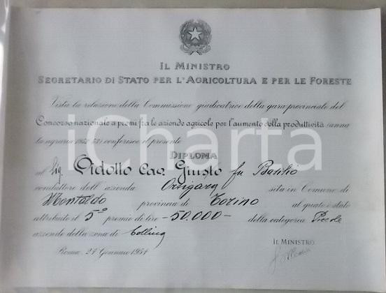 Documento originale, autentico 1954 MONTALDO TORINESE Giusto VIDOTTO vince premio per aziende agricole Diploma 1