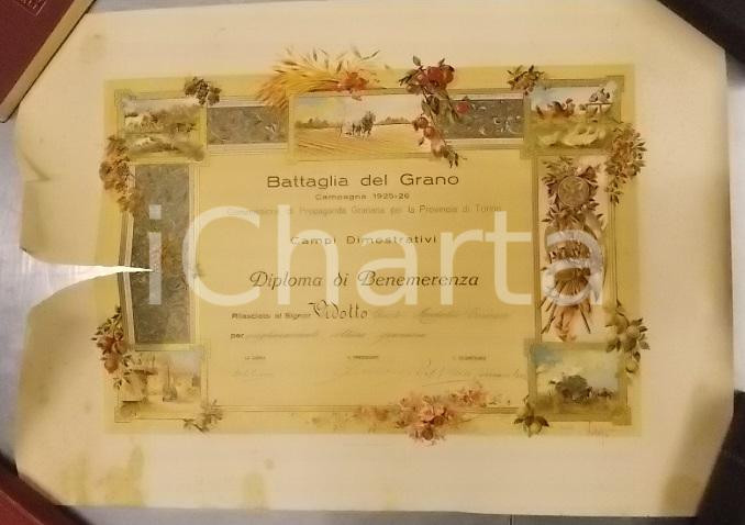 Documento originale, autentico 1925 MONTALDO TORINESE Battaglia Grano Diploma Giusto VIDOTTO DANNEGGIATO 1