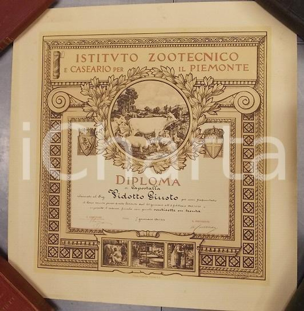 Documento originale, autentico 1941 TORINO Istituto Zootecnico Caseario Diploma capostalla Giusto VIDOTTO 1