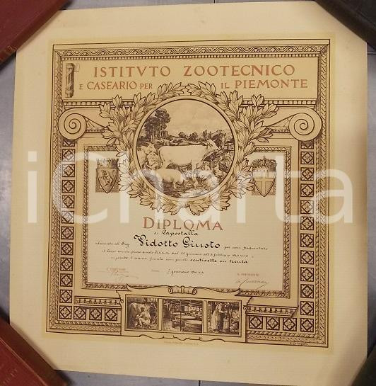 Documento originale, autentico 1941 TORINO Istituto Zootecnico Caseario Diploma capostalla Giusto VIDOTTO 1