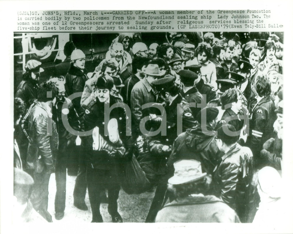 Fotografia d epoca originale 1979 SAINT JOHN S CANADA Attivista di GREENPEACE trascinata da polizia Foto 1