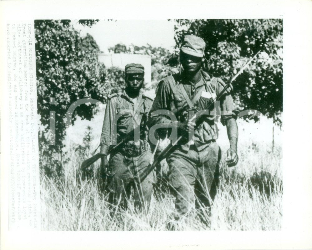 Fotografia d epoca originale 1980 ca SALISBURY RHODESIA Guerriglieri patrioti nella boscaglia Fotografia 1