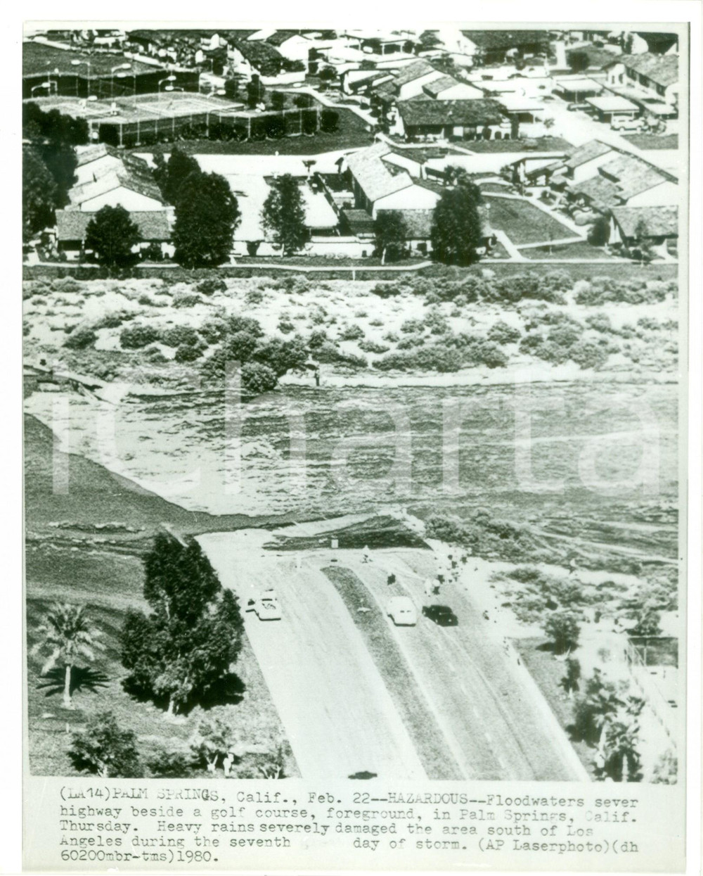 Fotografia d epoca originale 1980 PALM SPRINGS  USA Piste da golf invase dall inondazione Fotografia 1