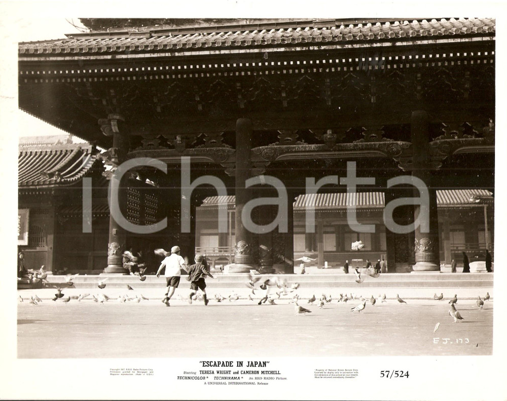 Fotografia d epoca originale 1957 ESCAPADE IN JAPAN Jon PROVOST Roger NAKAGAWA fuga al tempio Piccioni Foto 1