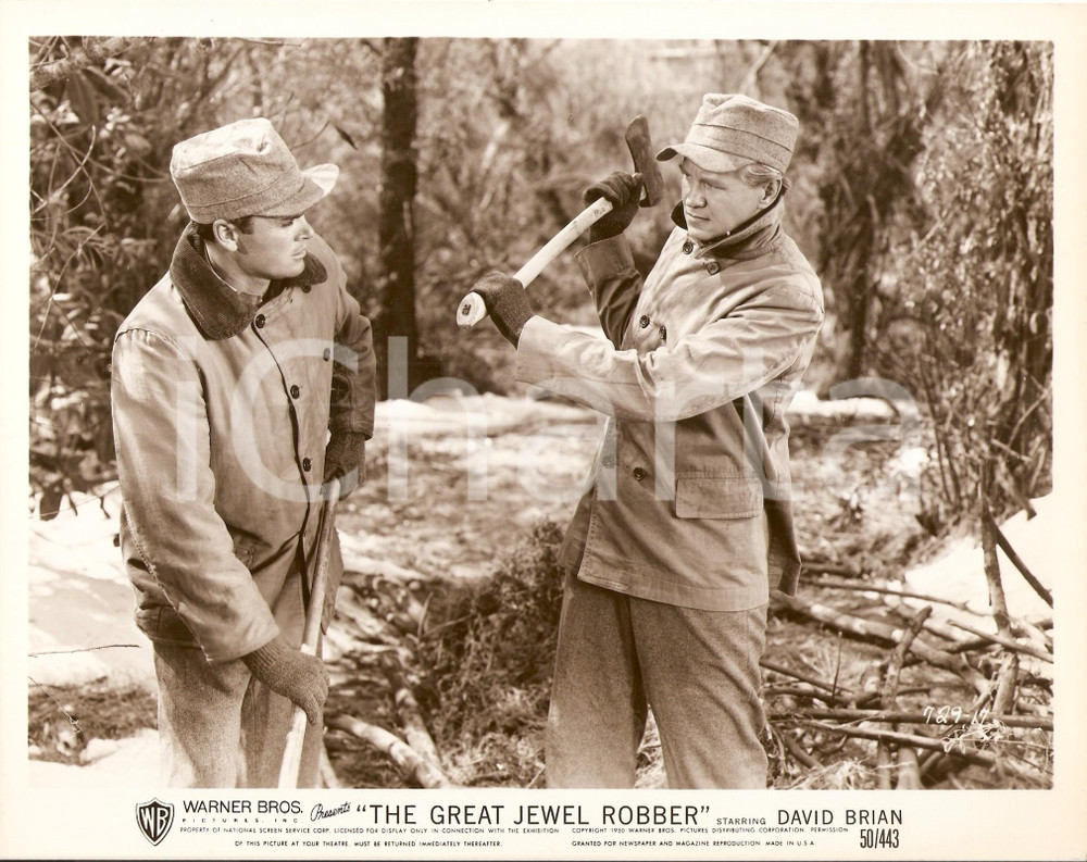 Fotografia d epoca originale 1950 GREAT JEWEL ROBBER David BRIAN Herschel DAUGHERTY taglialegna Foto 1