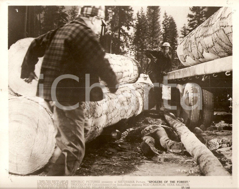 Fotografia d epoca originale 1957 SPOILERS OF THE FOREST Boscaiolo Morte bianca Film di Joseph KANE Foto 1