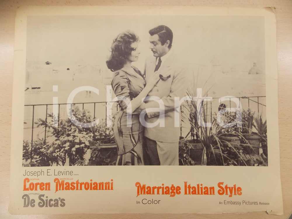 Oggetto da collezione cartaceo 1964 MATRIMONIO ALL ITALIANA Marcello MASTROIANNI Sophia LOREN Lobby Card 35x28 1