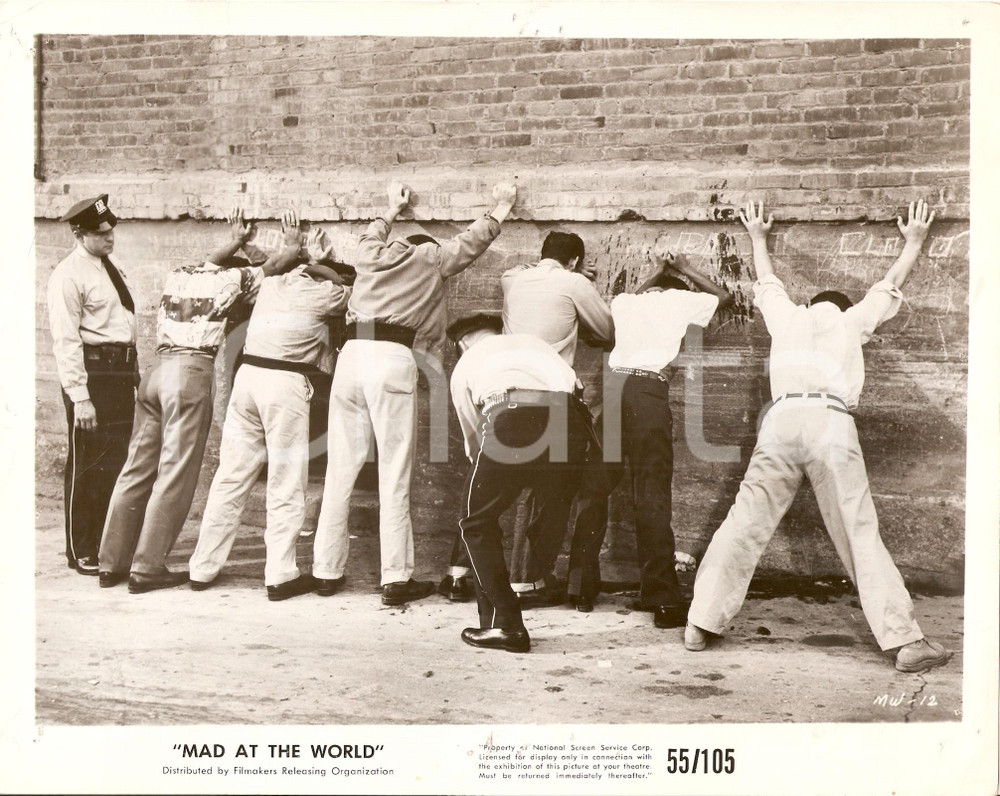 Fotografia d epoca originale 1955 MAD AT THE WORLD Polizia perquisisce truffatori Regia di Harry ESSEX Foto 1