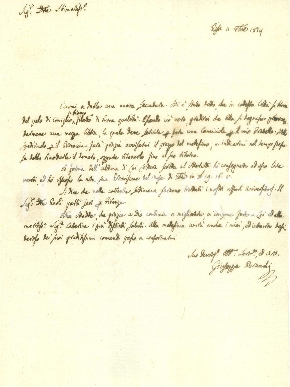 Autografo originale 1814 PISA Medico Giuseppe BRANCHI cerca pelo di coniglio Lettera AUTOGRAFA 1