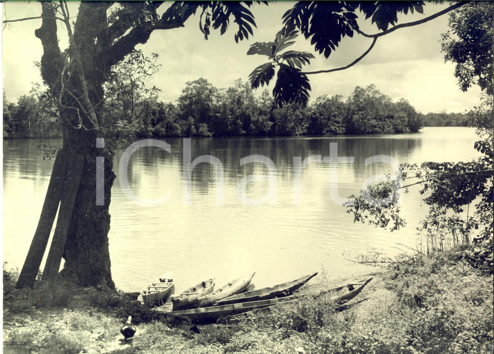 Fotografia d epoca originale 1960 ca GABON Fiume nella foresta equatoriale Foto ARTISTICA 30x24 cm 1