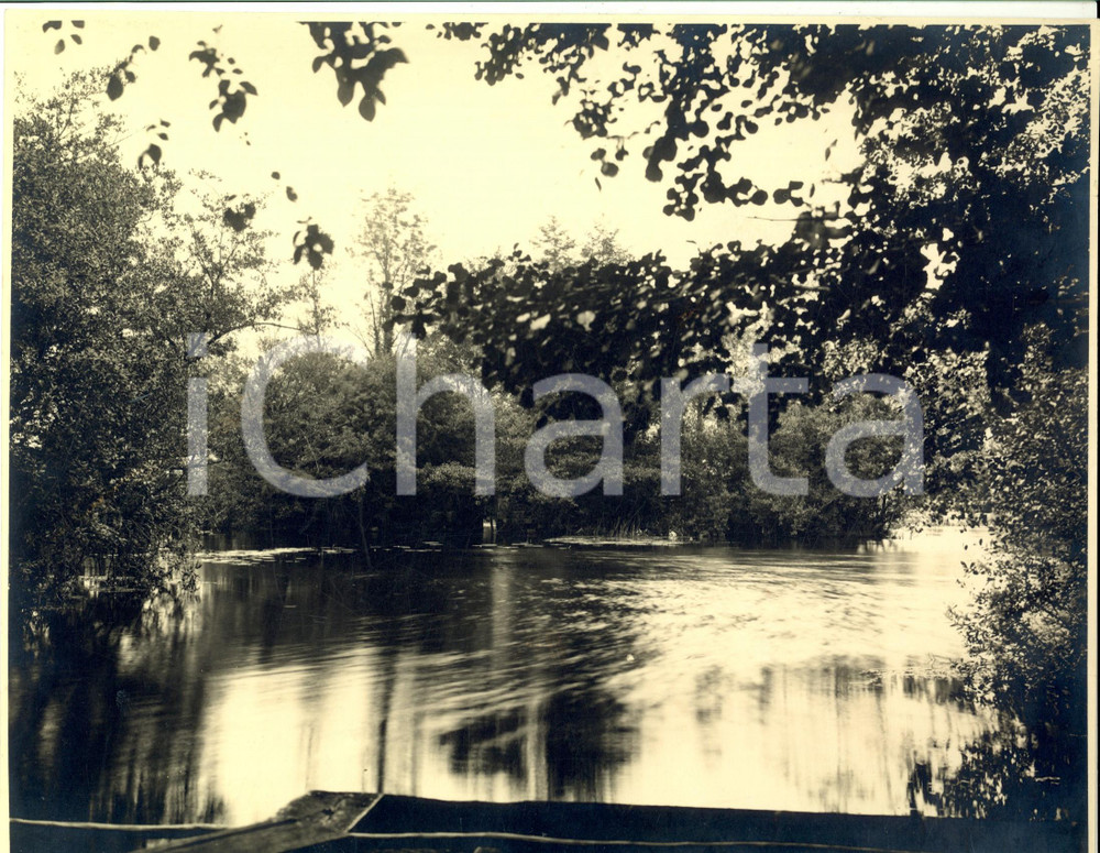 Fotografia d epoca originale 1960 ca GABON Fiume nella foresta equatoriale Foto ARTISTICA 28x21 cm 1