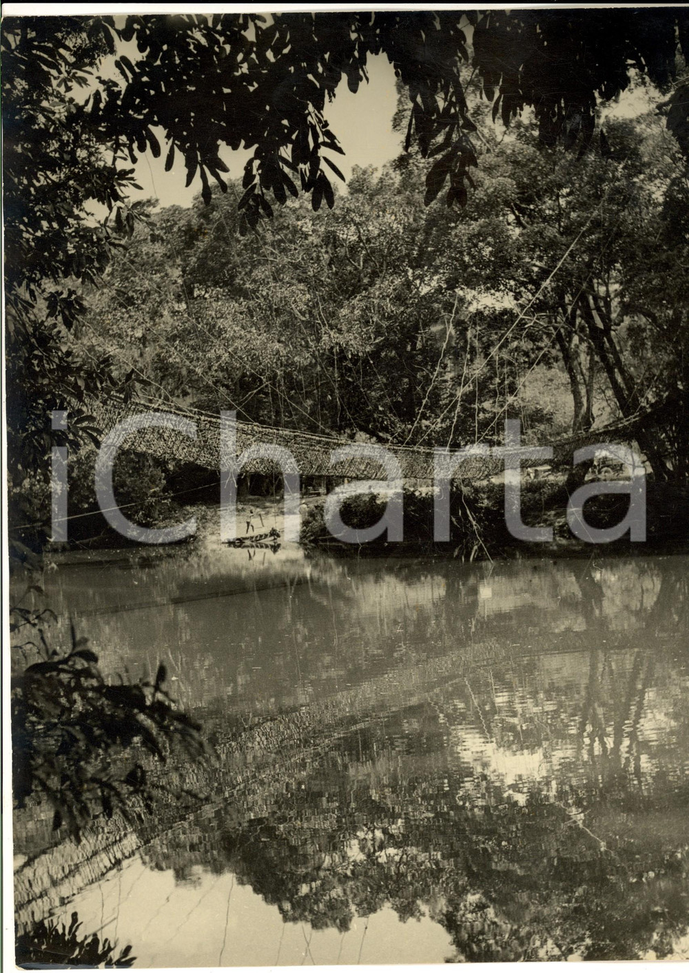Fotografia d epoca originale 1960 ca GABON Foresta equatoriale con ponte di corda Foto ARTISTICA 21x30 1