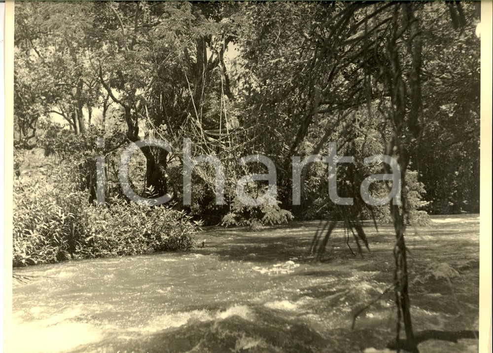 Fotografia d epoca originale 1960 ca GABON Un fiume nella foresta equatoriale Fotografia ARTISTICA 30x24 1