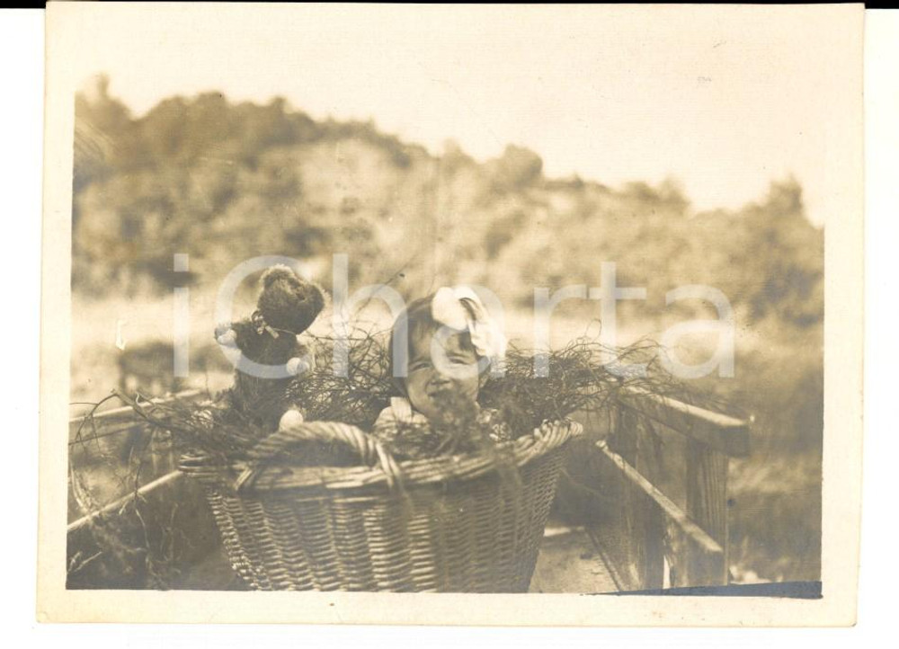 Fotografia d epoca originale 1920 ca PROVENCE Bambina in una cesta con l orsacchiotto Foto VINTAGE 11x8 cm 1