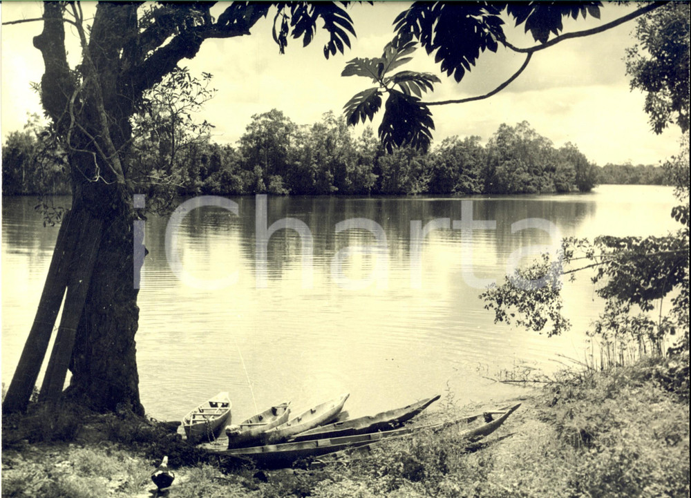 Fotografia d epoca originale 1960 ca GABON Fiume nella foresta equatoriale con canoe Foto ARTISTICA 30x24 1