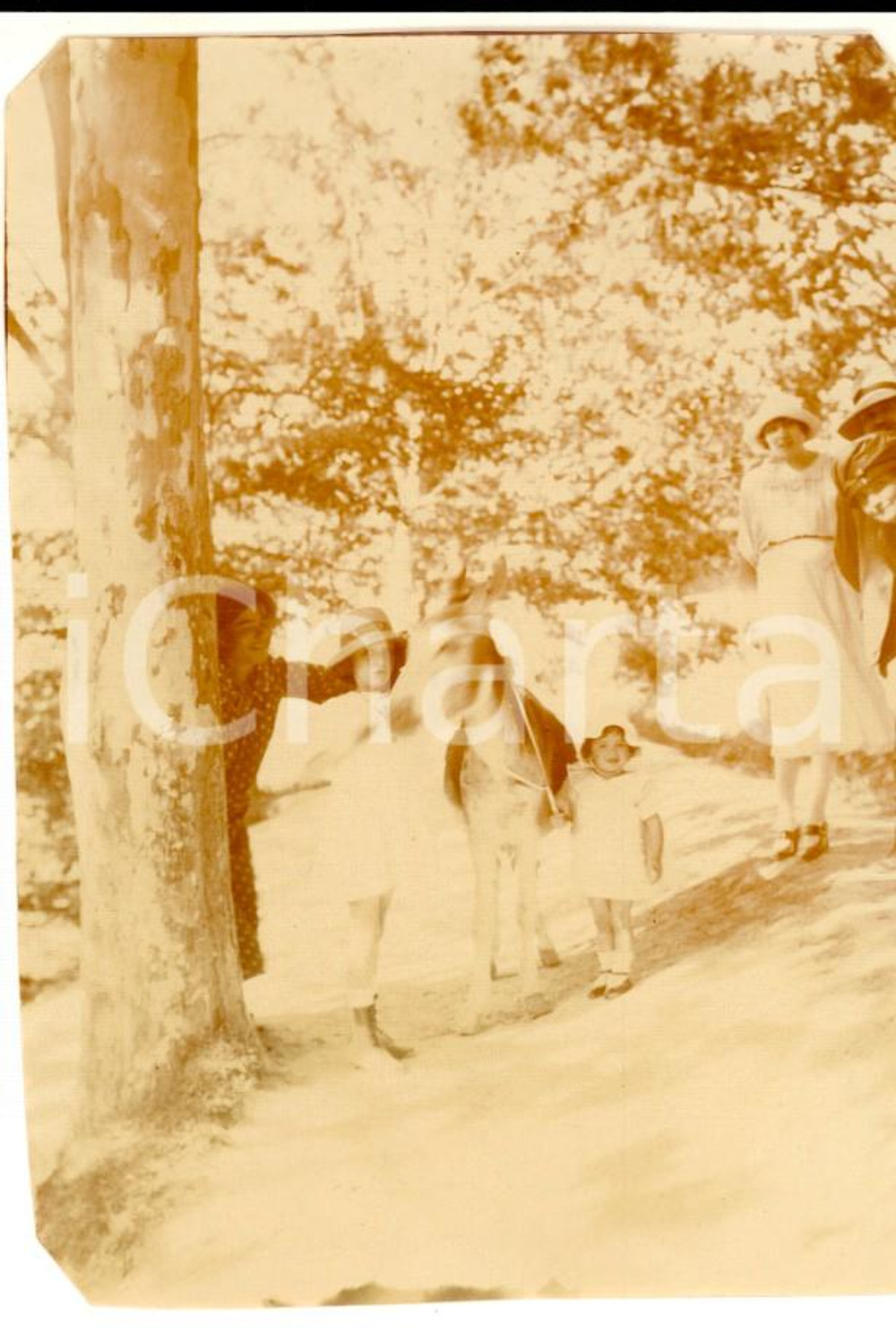 Fotografia d epoca originale 1920 ca FRANCE Bambine giocano con un asinello Foto VINTAGE 7x11 cm 1