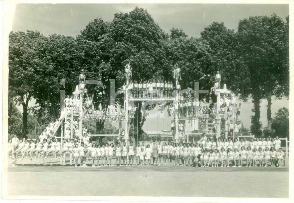 Fotografia d epoca originale 1940 ca FRANCE ATLETICA Ginnasti schierati sulle attrezzature Fotografia 1