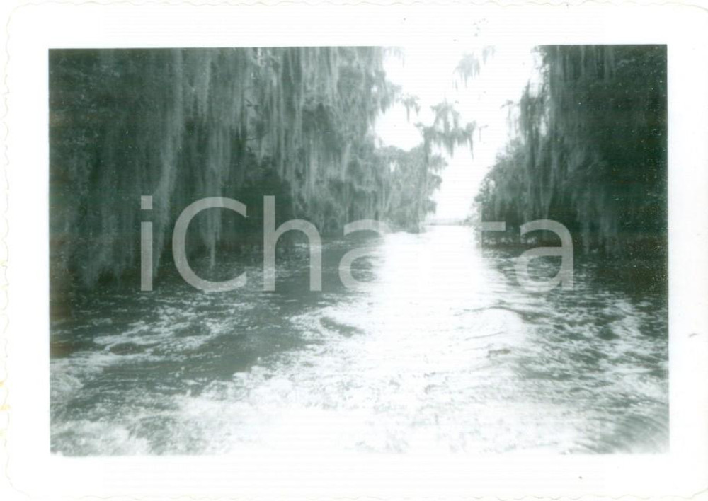 Fotografia d epoca originale 1953 WINTER HAVEN, FLORIDA USA Uno dei canali a CYPRESS GARDENS Foto 1