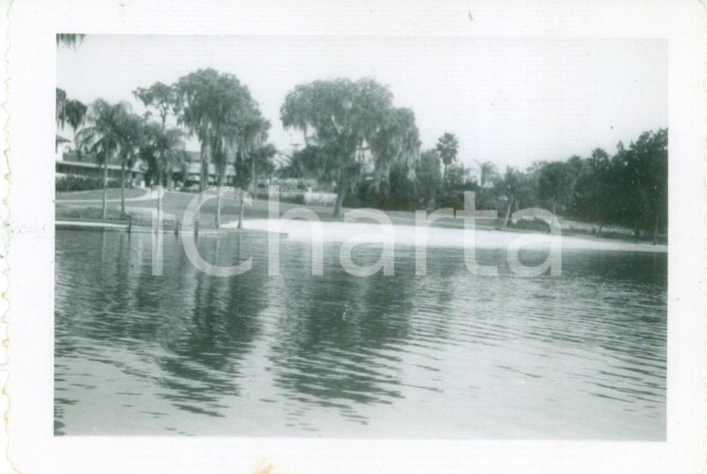 Fotografia d epoca originale 1953 WINTER HAVEN, FLORIDA USA Ristorante e spiaggia al CYPRESS GARDENS Foto 1