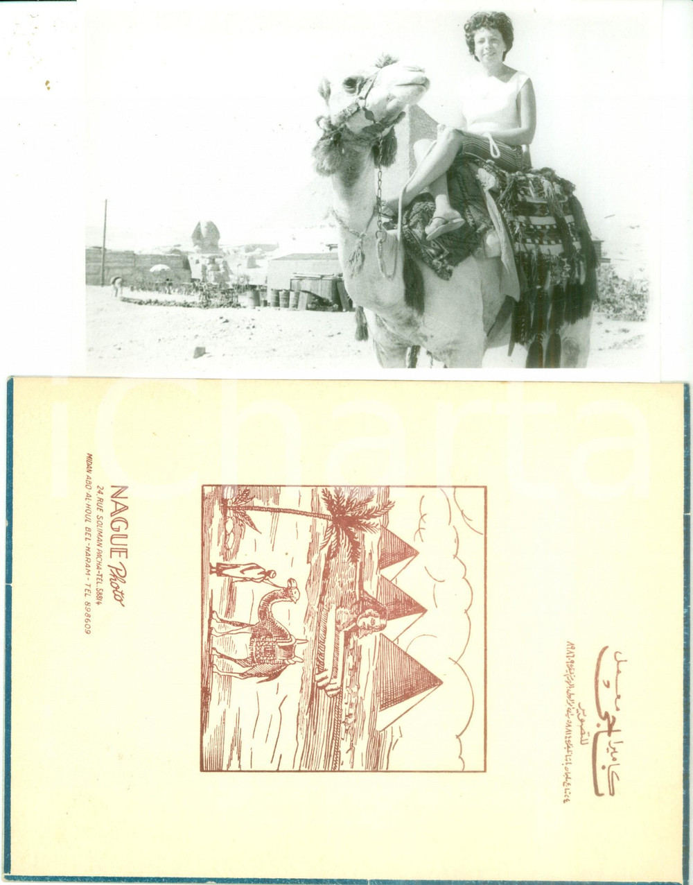 Fotografia d epoca originale 1960 ca IL CAIRO EGITTO Turista a dorso di cammello Fotografia NAGUE 1