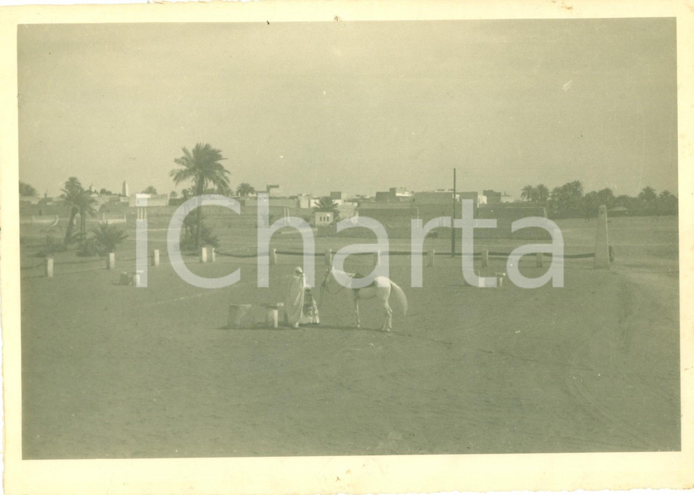 Fotografia d epoca originale 1945 ca LIBIA Beduini riposano con cavallo bianco Fotografia 1
