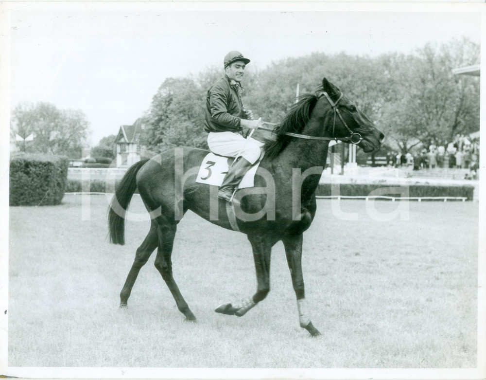 Fotografia d epoca originale 1959 CHATILLONSOUSBAGNEUX F Ippica Cavallo Qui perd gagne Foto DANNEGGIATA 1