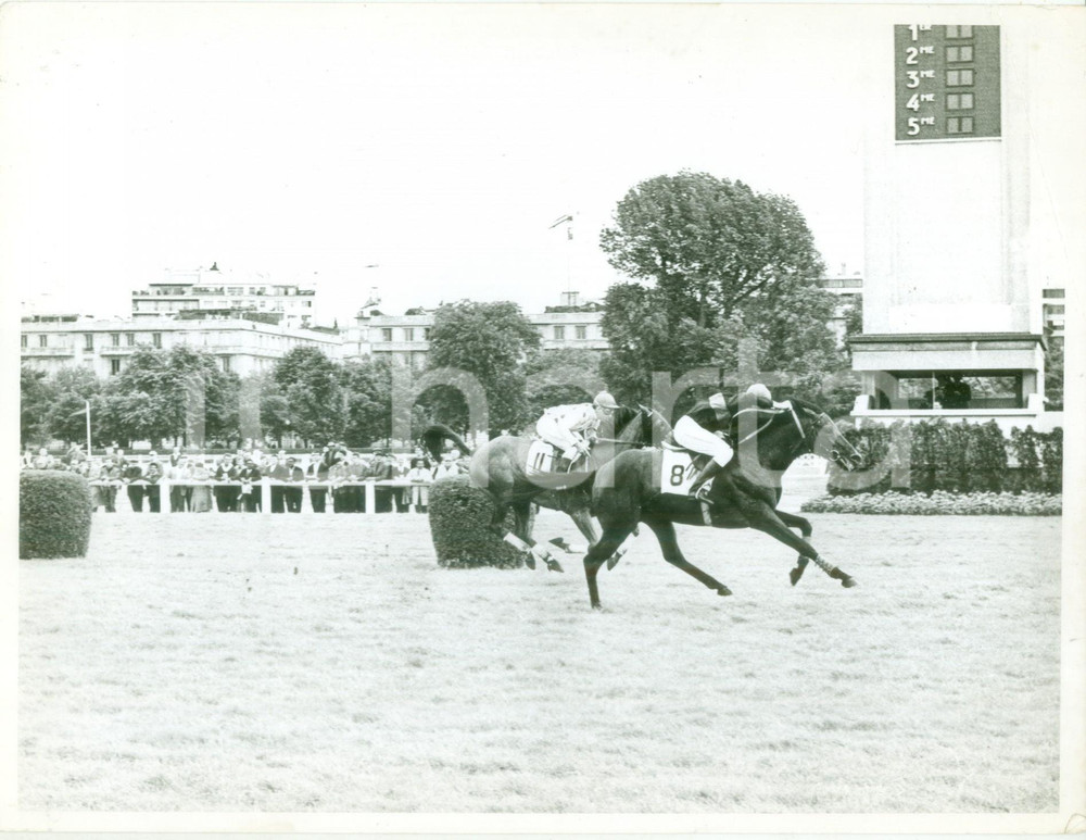 Fotografia d epoca originale 1955 ca CHATILLONSOUS BAGNEUX F Cavallo CALDARIUM alla gara di galoppo Foto 1