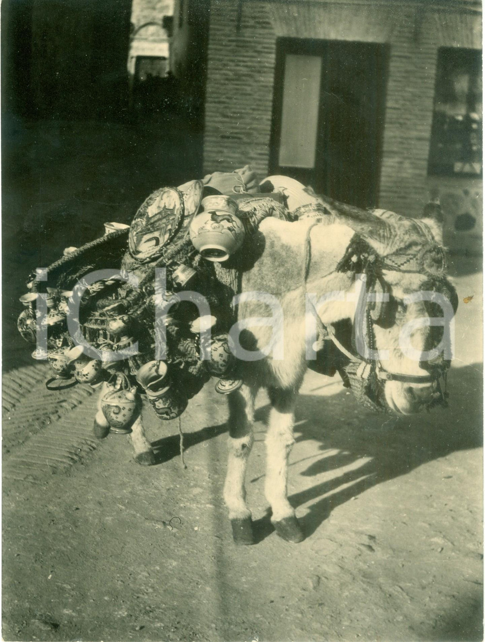Fotografia d epoca originale 1955 ca FRANCE Mulo da soma trasporta porcellane Fotografia 1