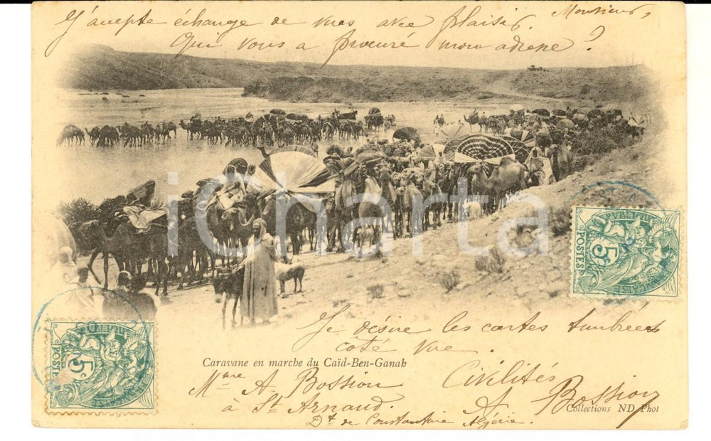 Cartolina originale da collezione 1903 ALGERIA CAIDBENGANAH Carovana in marcia Cartolina A. BOISSION medico FP 1