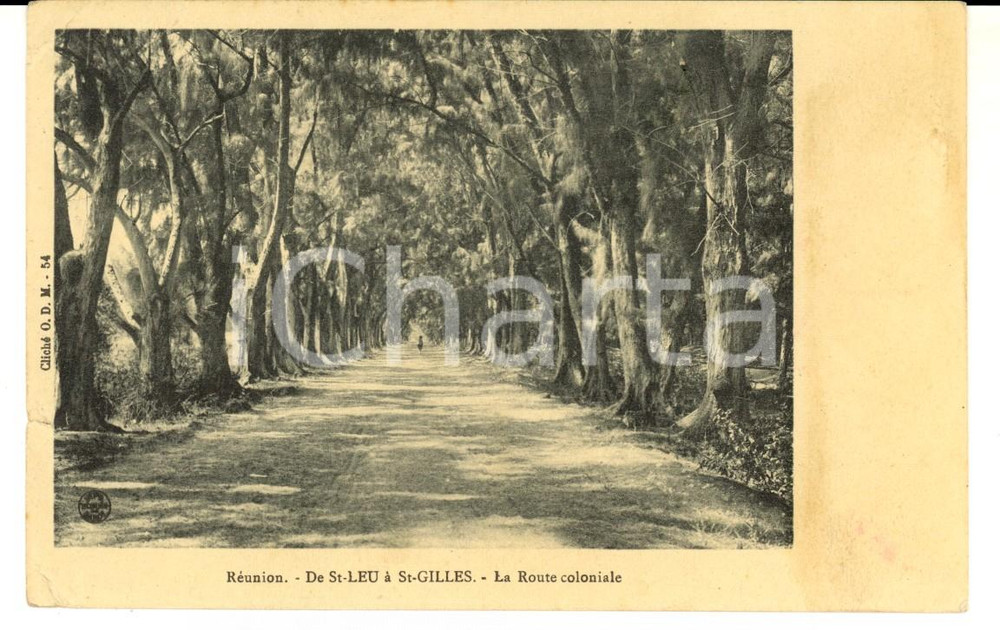 Cartolina originale da collezione 1913 ILE DE REUNION Route coloniale de STLEU Ã  STGILLES Carte postale 1