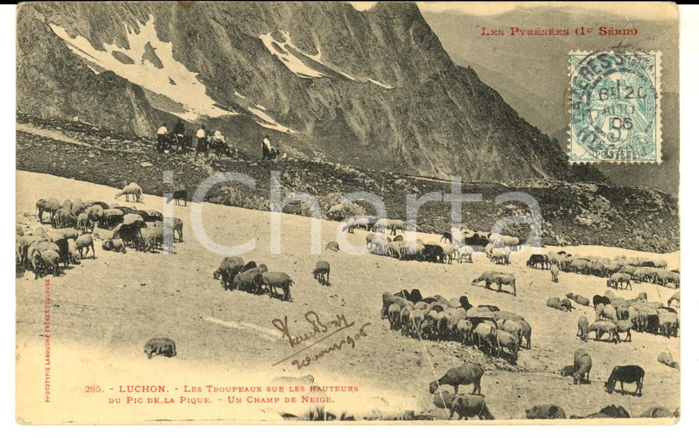 Cartolina originale da collezione 1906 LUCHON PYRENEES Troupeaux au PIC DE LA PIQUE Champ de neige carte postale 1