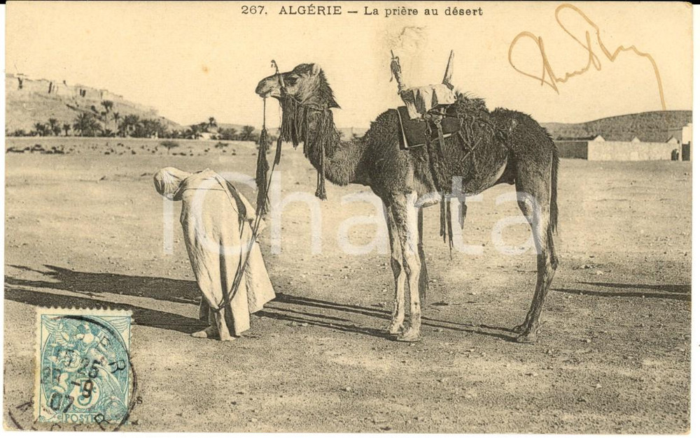Cartolina originale da collezione 1907 COSTUMI ALGERIA Arabo in preghiera nel deserto Cartolina postale FP VG 1
